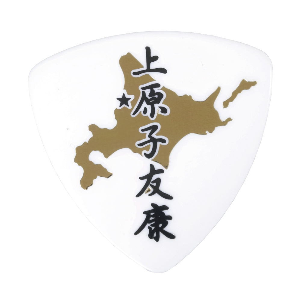 上原子友康 ( 怒髪天 ) 使用モデル ピック 0.75mm トライアングル 10枚セット 【ゆうパケット対応可能】