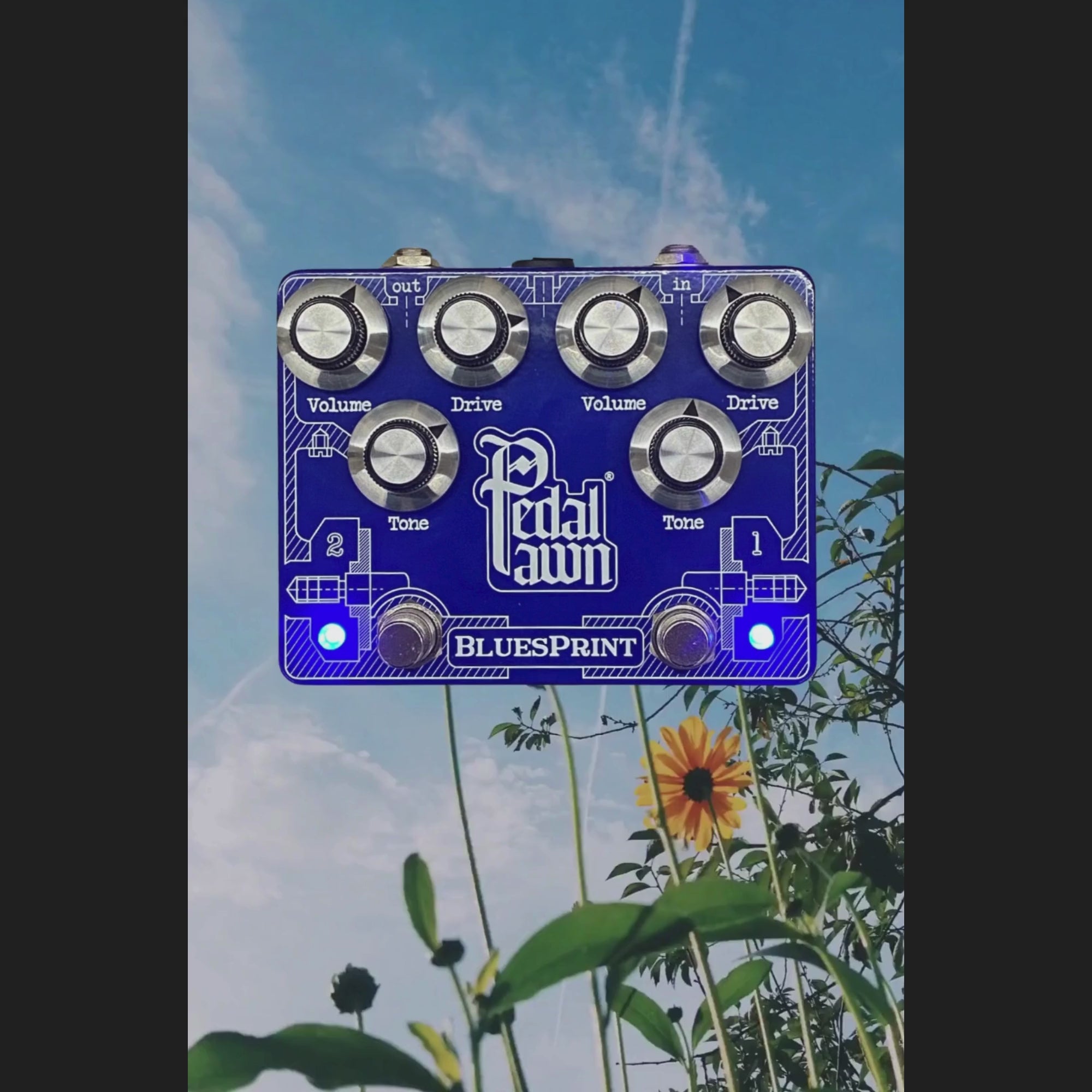 Pedal Pawn - BLUESPRINT | オーバードライブ ギター エフェクター