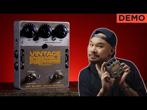 Mr. Black - Stereo Vintage Ensemble Professional | コーラス