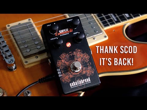 ギター Catalinbread Used Catalinbread Katzenkonig 70 Fuzz Pedal - Starcrash '70s
