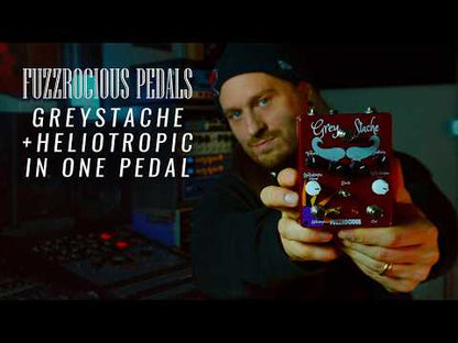Fuzzrocious Pedals - Grey Stache/Heliotropic | ファズ ギター エフェクター