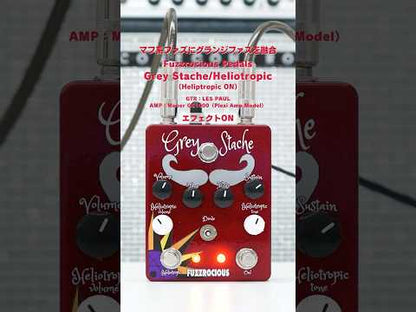 Fuzzrocious Pedals - Grey Stache/Heliotropic | ファズ ギター エフェクター