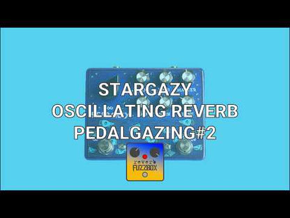 Buzzing Bugs Audio Devices - STARGAZY | リバーブ ギター エフェクター
