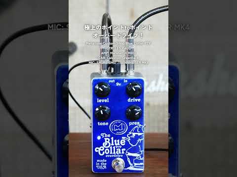Menatone - Custom Shop Blue Collar PTP | オーバードライブ