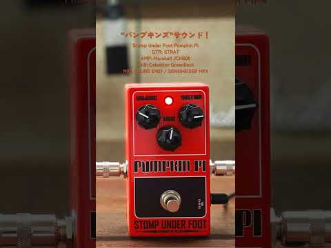 Stomp Under Foot - Pumpkin Pi | ファズ ギター エフェクター
