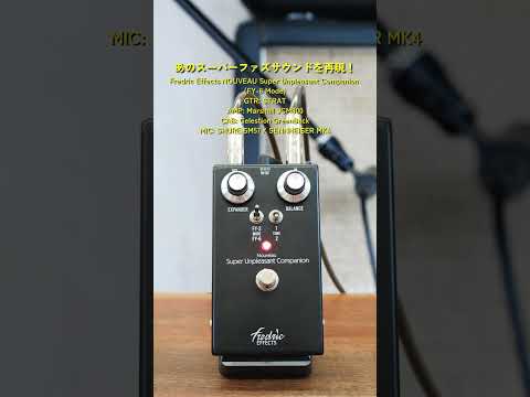 Fredric Effects - NOUVEAU Super Unpleasant Companion | ファズ
