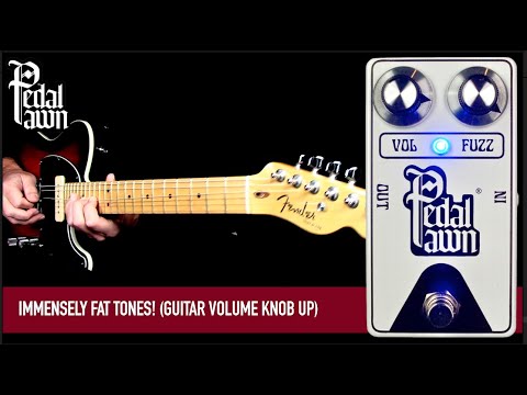 Pedal Pawn FUZZ / ファズ ギター エフェクター – NINEVOLT