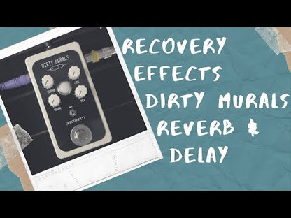 Recovery Effects　Dirty Murals　/　ディレイ　リバーブ　エフェクター　ギター
