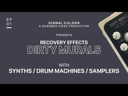 Recovery Effects　Dirty Murals　/　ディレイ　リバーブ　エフェクター　ギター