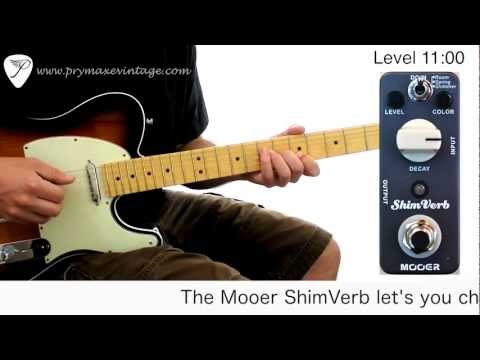 Mooer ShimVerb / リバーブ ギター エフェクター – NINEVOLT